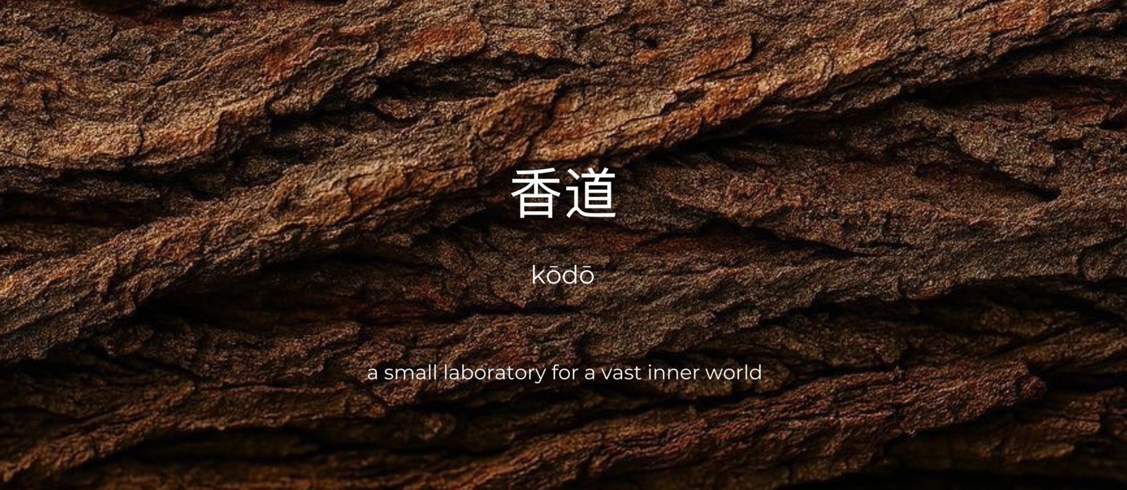 The KODO card with the kanji 香道 on dark tree bark
