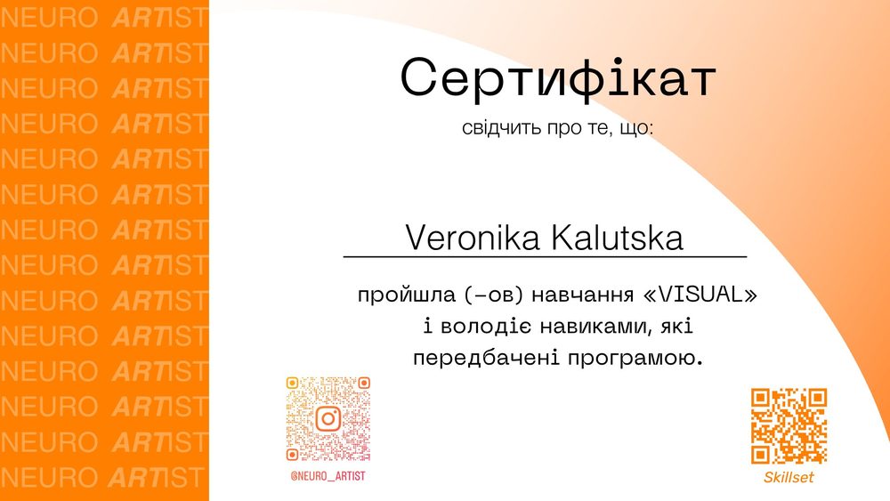 Neuro Artist certificate, Visual programme